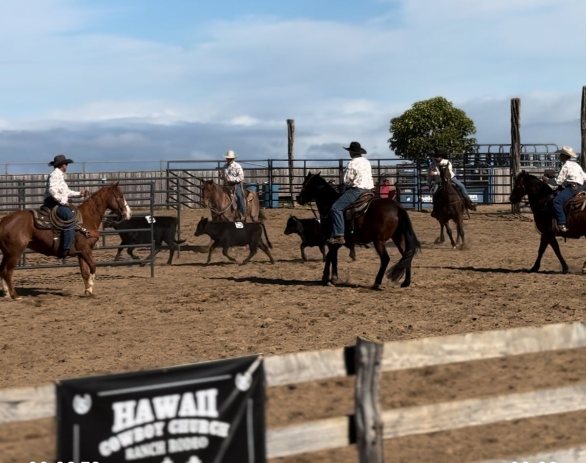 Hanley Rodeo Hawaii Ranch Rodeo – Rowdy Rodeo